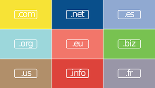 domain options