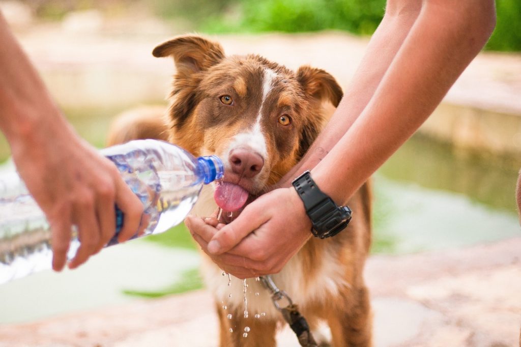 hydration